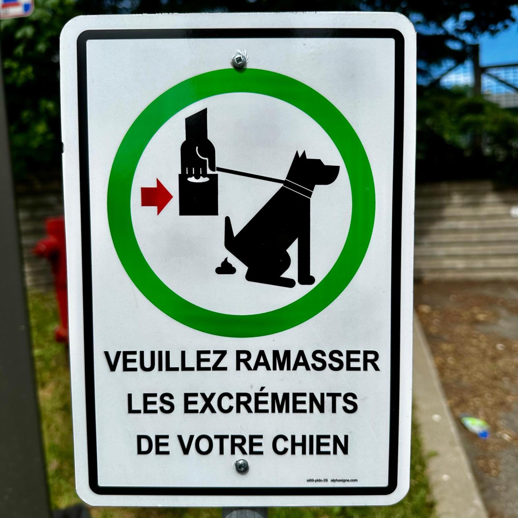 Initial - Road Trip - Chutes-Montmorency - Vue Fleuve Saint-Jean-de-Boischâtel المظهر الخارجي الصورة